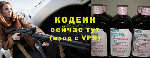 ешки Вяземский